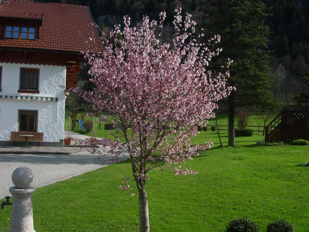 Schmiedbauernhof Villa Fuschl am See Buitenkant foto